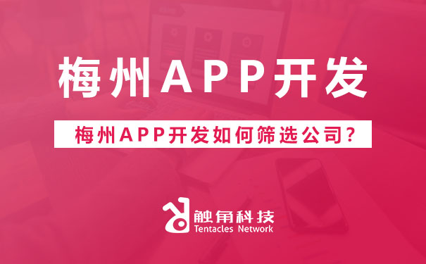 app开发公司