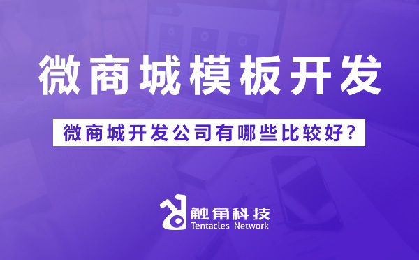 微商城开发公司有哪些比较好？.jpg
