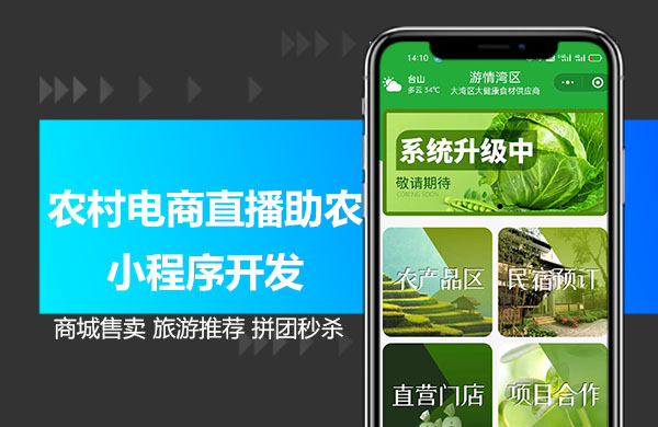 程序农村电商2.jpg