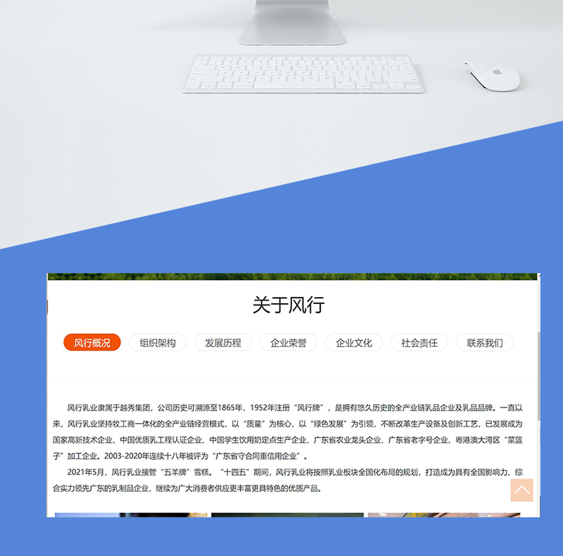 饮品企业网站-_02.jpg
