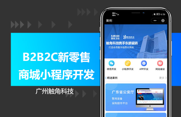 B2B2C新零售商城小程序开发.jpg