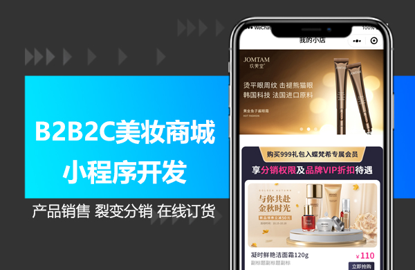 B2B2C美妆.jpg