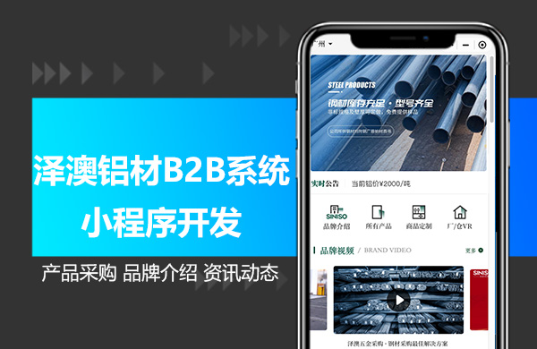 泽澳B2B系统.jpg